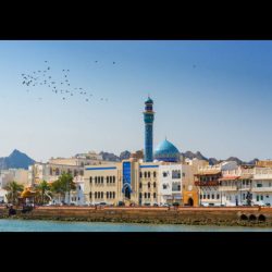 istockphoto-1141982139-612x612